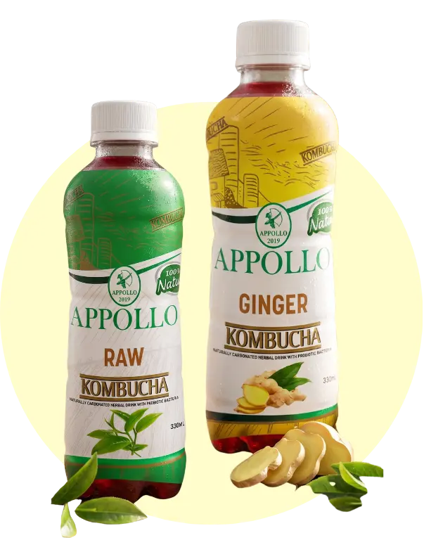Appollo Raw and Ginger Kombucha
