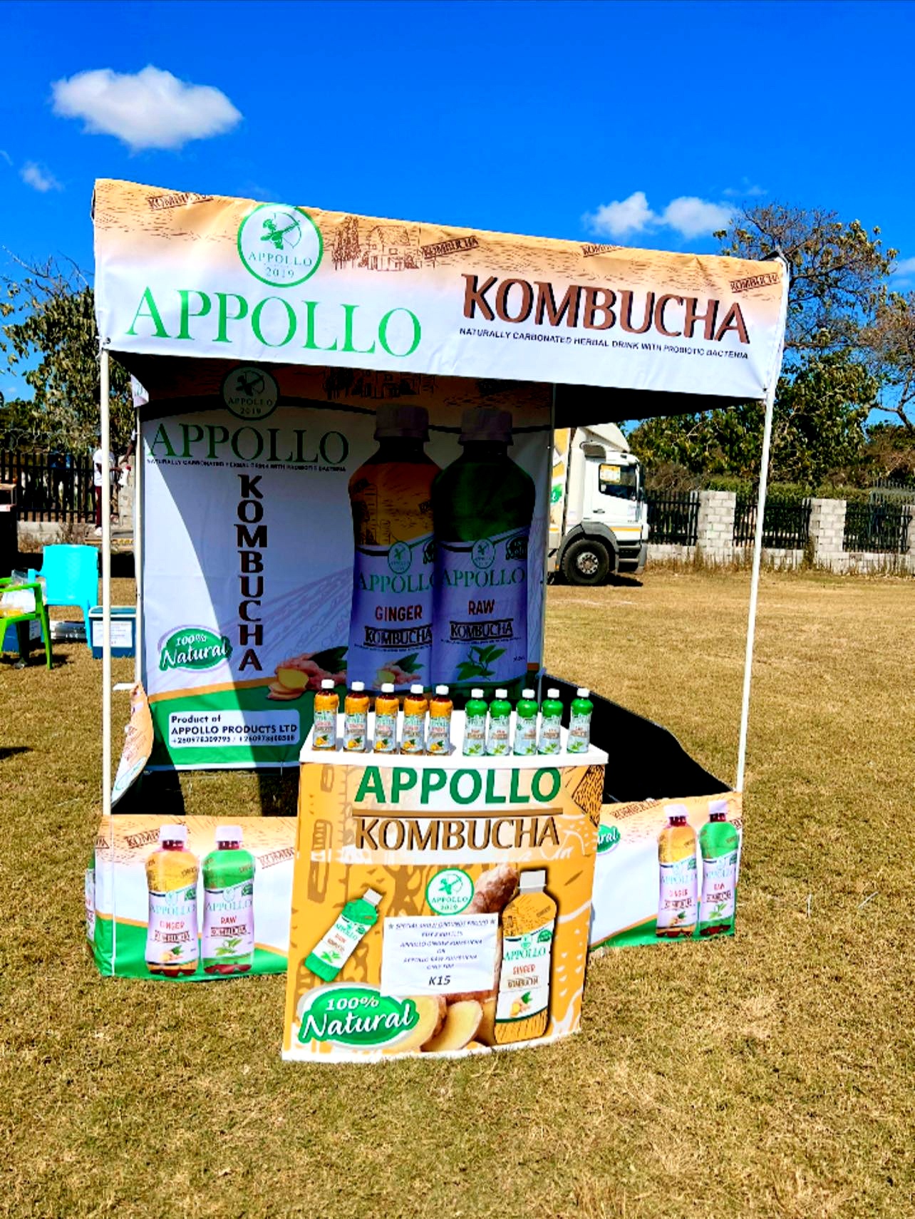 Appollo Kombucha